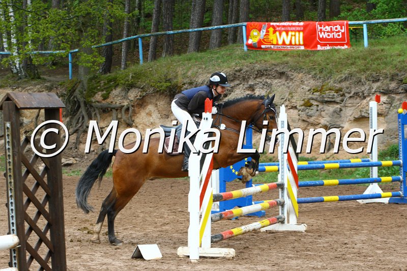 005L5151_Darlington_Springreiter WB E.JPG